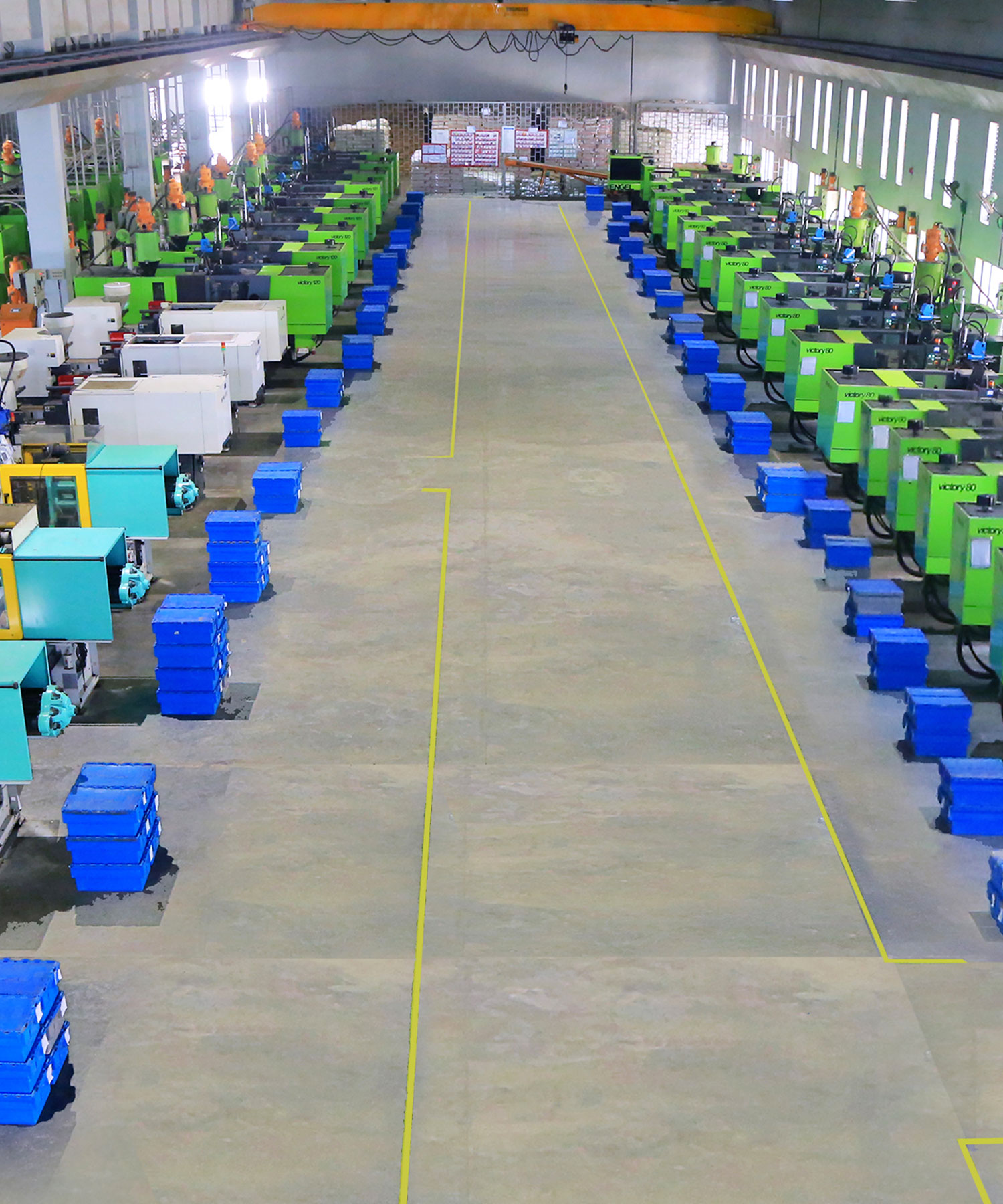 100000 sq. ft Factory Daman, Lexi Pvt. Ltd.